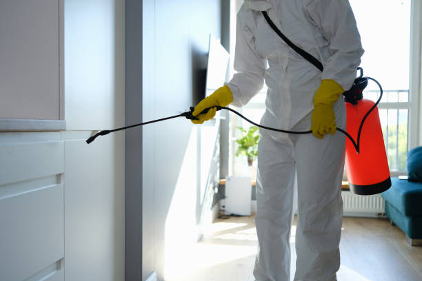 Trusted Vienna, WV Mold Removal Experts